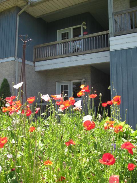 Highlands Four Season Resort Calabogie Экстерьер фото